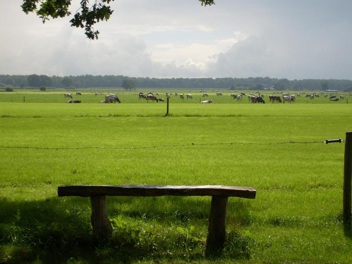 Boerderij De Aarnink Lejlighed Heeten Eksteriør billede